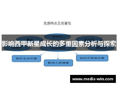 影响西甲新星成长的多重因素分析与探索