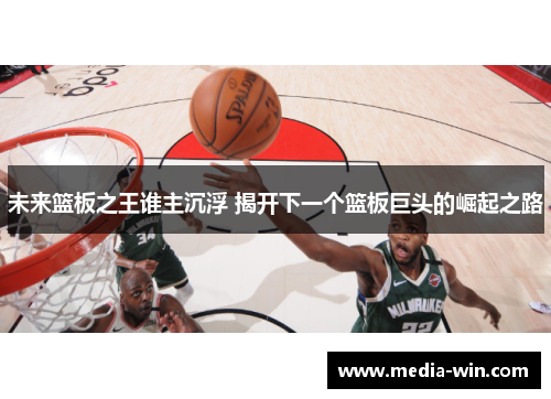 未来篮板之王谁主沉浮 揭开下一个篮板巨头的崛起之路