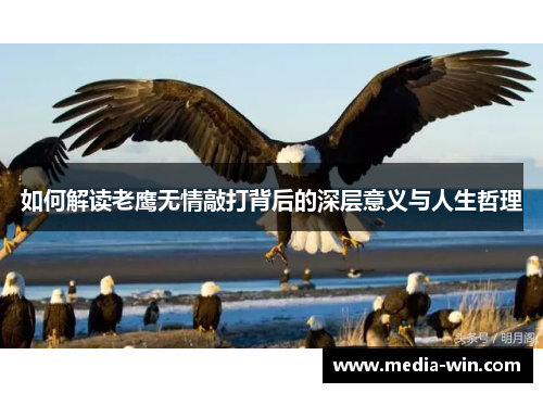 如何解读老鹰无情敲打背后的深层意义与人生哲理